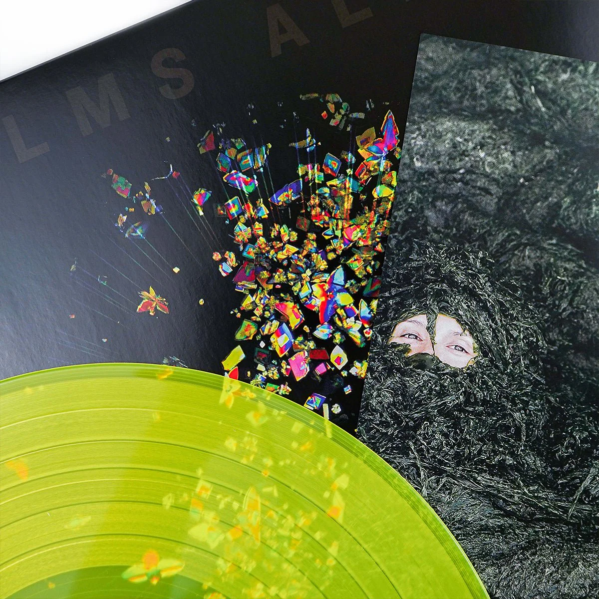 HELMS ALEE "Noctiluca" LP - Image 3